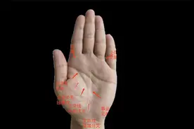 生命线尾端分叉，晚年容易为子女操劳