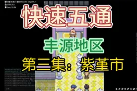 PokeMMO 速通攻略 (丰源地区) 第三集