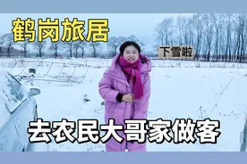 东北鹤岗旅居生活，下雪天去农村家庭做客，被招待一桌特色东北菜视频封面