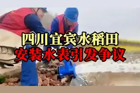 四川宜宾水稻田安装水表引发争议！视频封面