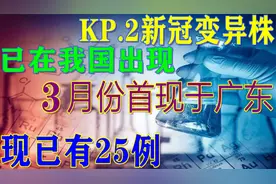 KP.2新冠变异株已在我国出现，今年3月份首现于广东，现已有25例视频封面