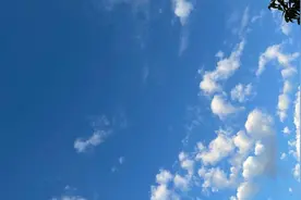 司马南：国家经济安全，警惕有争议的激进视频封面