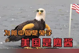 为何中国是兔子，美国是鹰酱，带你了解各国外号背后的故事