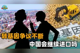 转基因争议持续十多年，为何至今没洗清？未来我国会继续进口吗？视频封面
