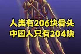 人类有206块骨头，中国人只有204块？少的两块去哪里了？