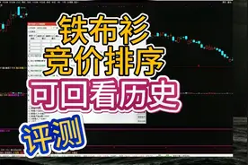 铁布衫竞价排序指标，回看历史，回测数据教程，举一反三。视频封面