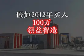 当年全仓买入100万领益智造，持有不动，如今变多少钱?