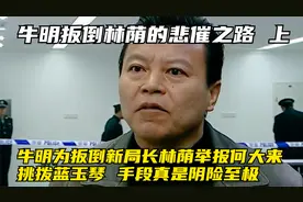 使命牛明为扳倒新局长林荫，举报何大来挑拨蓝玉琴，手段真是阴险视频封面