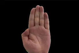 手掌厚实颜色红润，财运佳，配合掌纹是M字掌，工作有不错的成绩