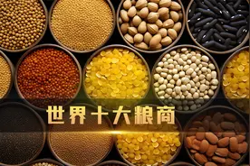 全球十大粮商排行榜，就是他们控制着全世界的饭碗视频封面