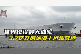 世界最大邮轮泰欧号，满载能运3.7亿升原油视频封面