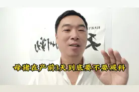 母猪在产前三天到底要不要减料？视频封面