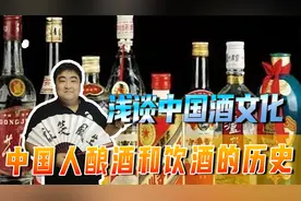 中国人酿酒和饮酒的历史，可以追溯到上古时代，浅谈中国酒文化视频封面