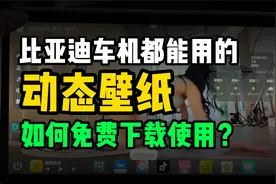 比亚迪车机都能使用的动态壁纸，如何免费下载使用呢？我来教你
