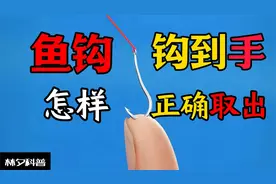 如果被鱼钩卡住了，该怎么正确取出？
