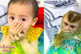 猴子卡卡帮琰琰脱裤子和大便，太有趣了视频封面
