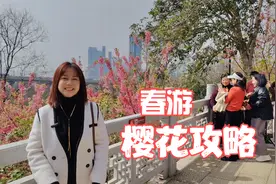 又到了一年武汉樱花季，这份龟山公园春游赏花攻略，请收好视频封面