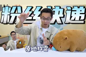 粉丝寄来恶搞快递，爱吸鼻涕的毛绒玩具中藏手雷，这是要开炸吗视频封面