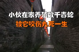 小伙在家养殖数千毒蛇，被它咬伤九死一生，然而小伙从没想过放弃视频封面