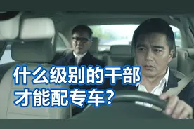 什么级别的干部，才能配专车？镇长可以吗？视频封面