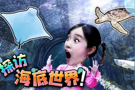 没有眼睛的鱼儿！在海洋世界参观海底动物视频封面