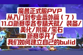 魔兽世界正式服PVP 从入门到专业番外篇 第7期（装备/附魔/美化）