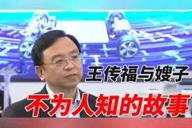 情深义重：王传福身价百亿背后，那份不为人知的亲情债"视频封面