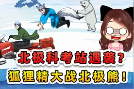 北极科考站遇袭？狐狸精大战北极熊，我还是趁机会溜吧！