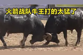 火箭战队牛王打的太猛了视频封面