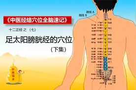 中医经络穴位全脑速记：十二正经（七）足太阳膀胱经穴位（下集）视频封面