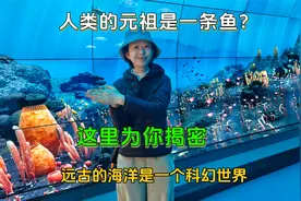 人类的远祖是一条鱼?远古海洋像个科幻世界？澄江化石馆为你揭秘
