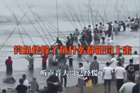 钓鱼佬除了鱼什么都能钓上来，听声音大哥已经慌了，小鲨鱼自助餐