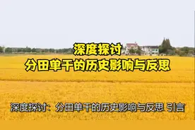 深度探讨：分田单干的历史影响与反思视频封面