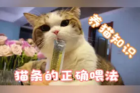养猫知识：猫条的正确喂法你知道吗？@养猫知识分享视频封面