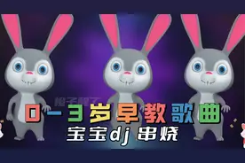 0到3岁宝宝律动dj 舞曲串烧