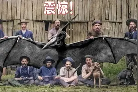 历史老照片记载了这个已经灭绝动物的震撼画面，轰动了社媒