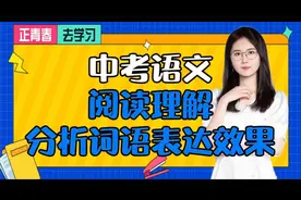 中考语文 阅读理解——分析词语表达效果