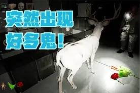 安抚总部三进宫，结果还是被鬼吓得不轻ww