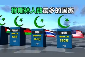 世界上穆斯林人数最多的国家排名对比