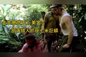 金主悬赏五万美金，部落猎人抓获七米巨蟒，纪录片视频封面