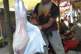 见识一下，有着50年杀羊经验的高手处理羊，手法真的是厉害