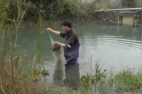 冬季河提开坝放水，小莫刚下网意外发生了，镜头记录全过程