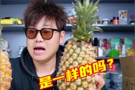 试吃对比菠萝和凤梨的区别，真的是一样的吗?视频封面