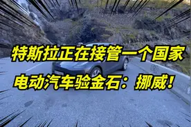 为何挪威人如此喜爱特斯拉？100多个电车品牌，毫不犹豫选择它！视频封面