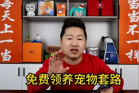 实测：闲鱼上免费领养猫咪，到底是不是真的？视频封面