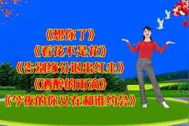 《想你了》《看花不是花》《告别缘分退出红尘》《酒醉的雨滴》