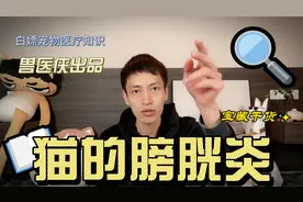 猫咪尿频，尿血到底是怎么一回事？一个视频给你讲清楚视频封面