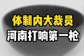 体制内大裁员，河南打响第一枪视频封面