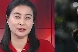 全红婵事情最新结果，裁判或被罚禁赛，郭晶晶将公正处理，视频封面