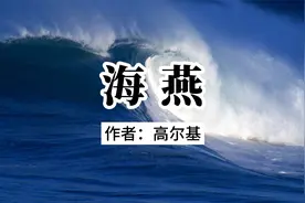 《海燕》又名《海燕之歌》，是高尔基创作的一篇著名散文诗。视频封面